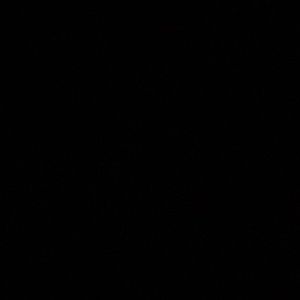 Everything must go!!